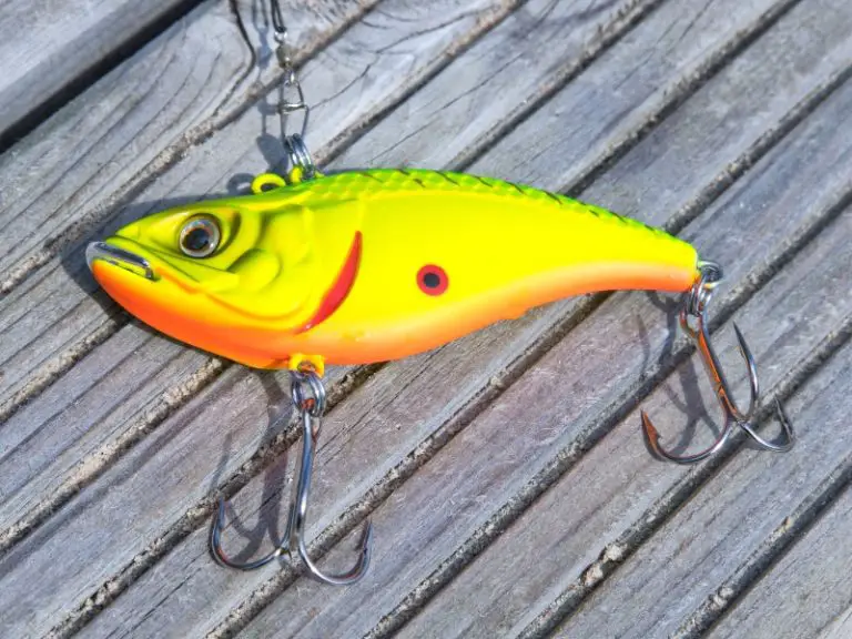 Types of Fishing Lures