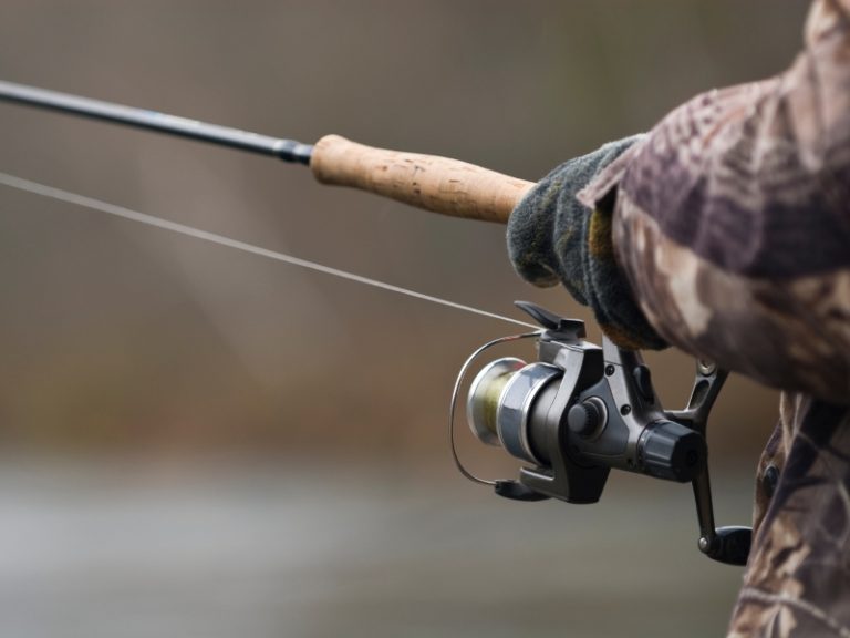 Types of Fishing Reels