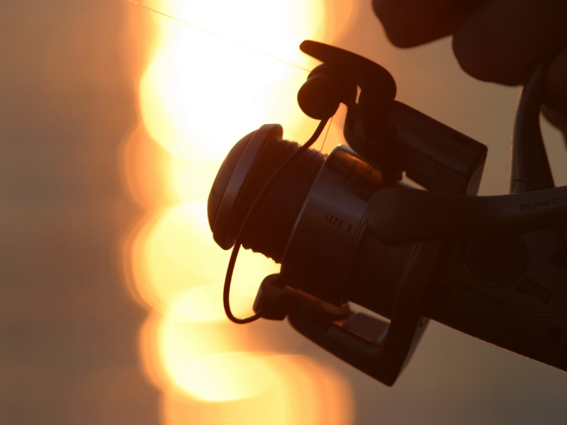 Types of Fishing Reels and How They Work