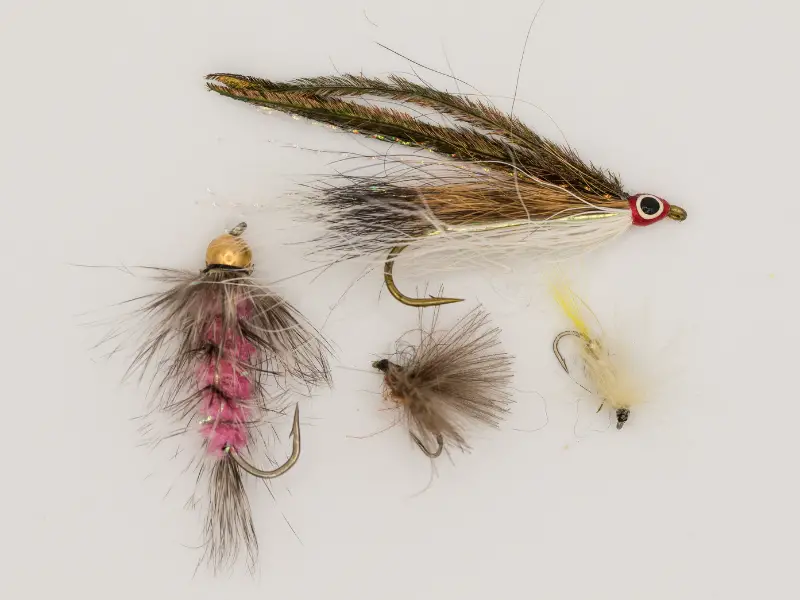 Types Of Fly-Fishing Flies (Beginners Guide) - AquariumPub