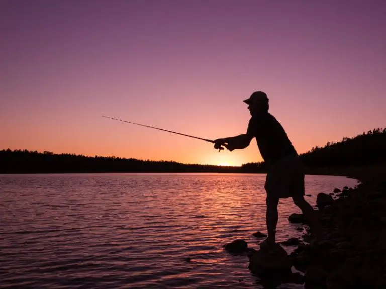 What Happens If You Fish Without A License