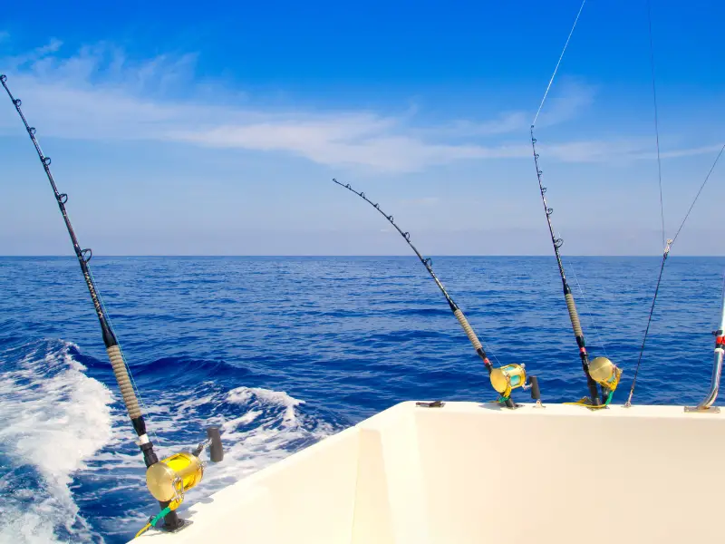 What Is a Fishing Charter