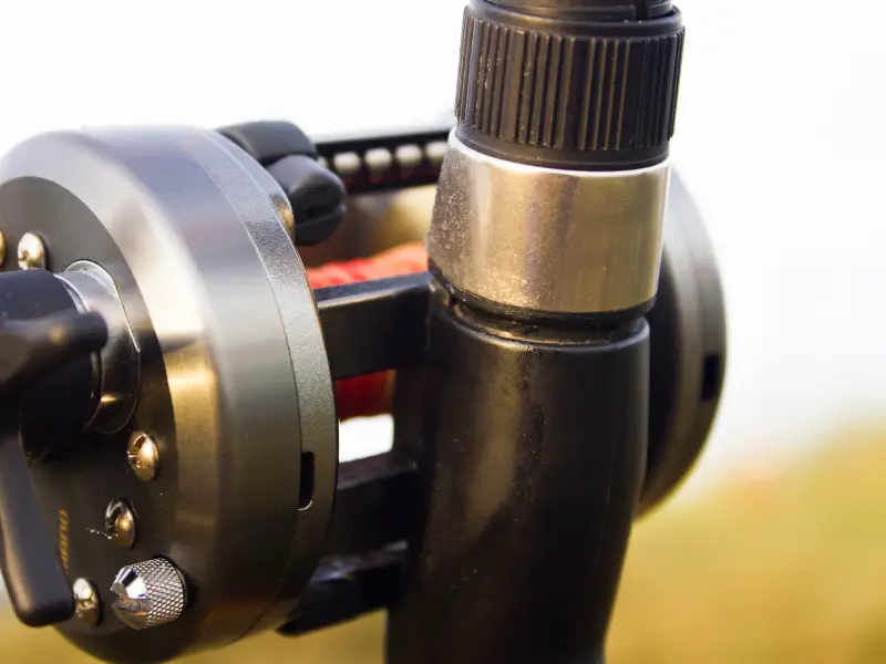 What Kind Of Fishing Reel Grease Should You Use? AquariumPub