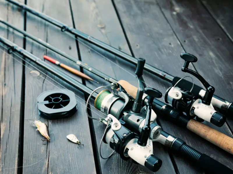 What Kind of Rod is Best for Fishing