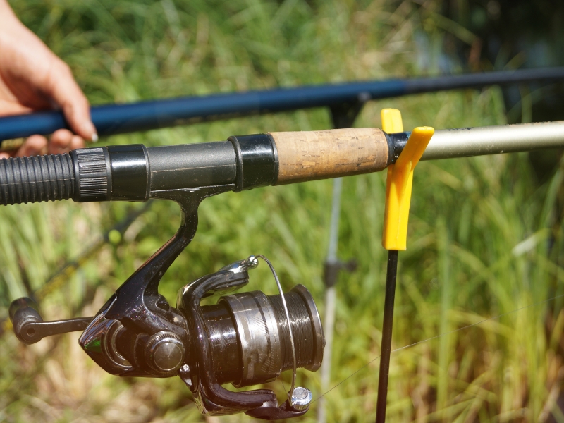 What Size Fishing Hook Should You Use
