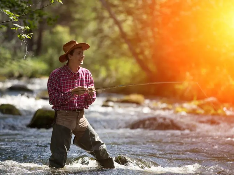 What Size Fishing Line for Trout