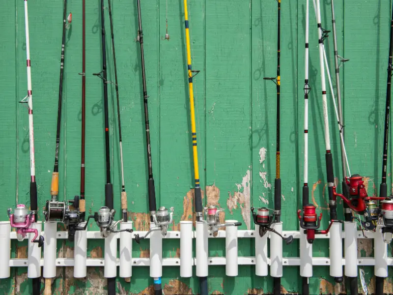What Size Fishing Pole Do I Need? AquariumPub