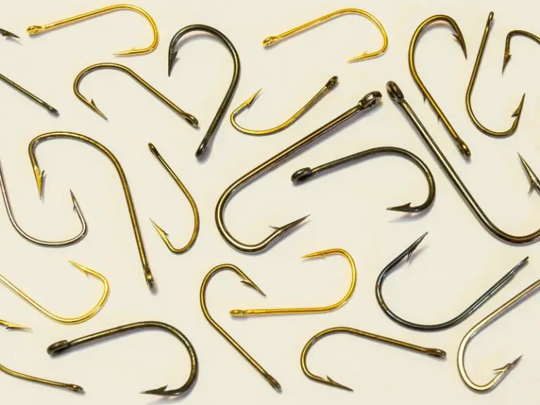 What Size Hook Should You Use For Trout Fishing