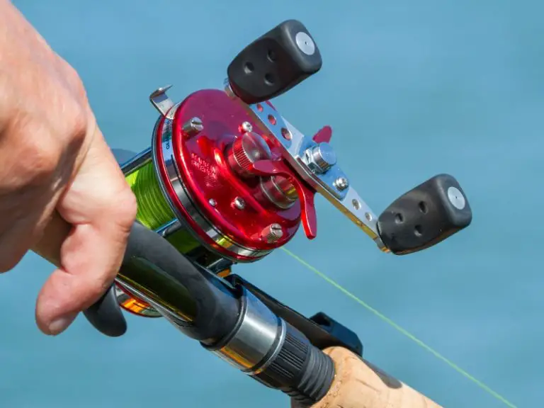 What Size Reel for Bass Fishing