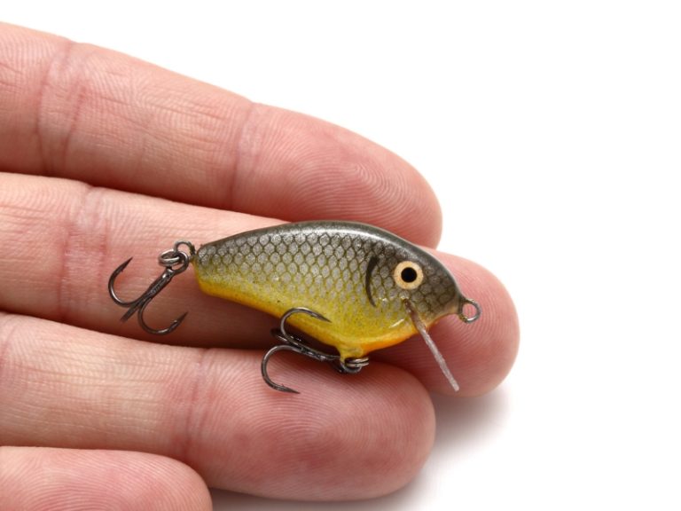 What are Fishing Lures