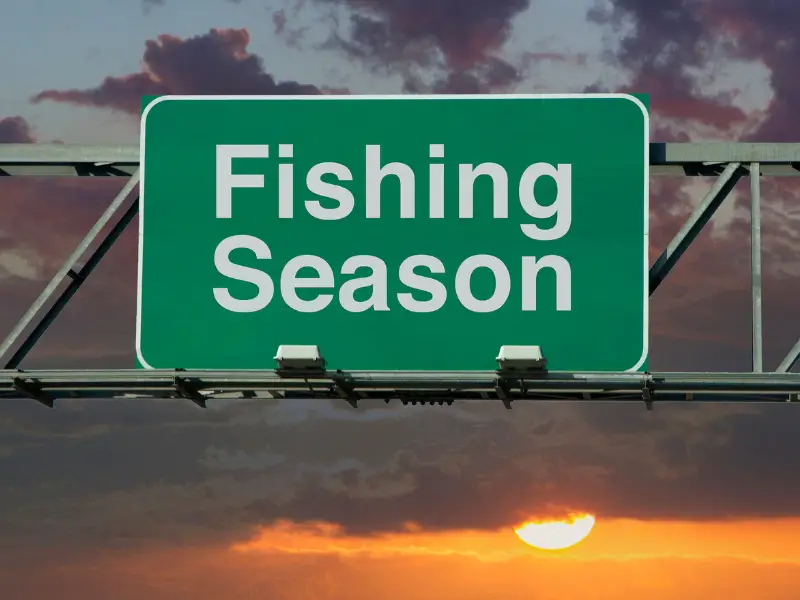 When Does Fishing Season Start? AquariumPub