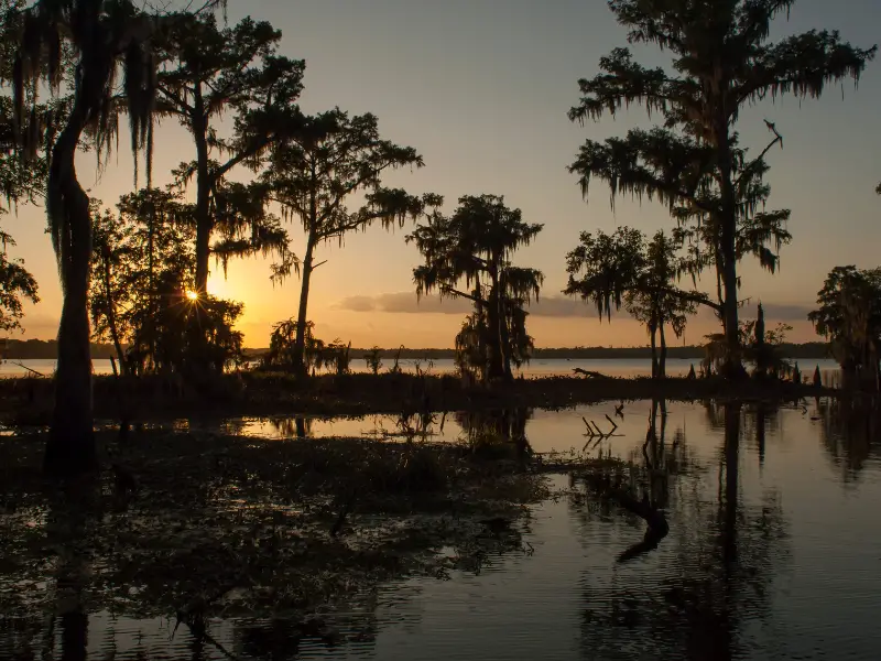 Fish Size Regulations in Louisiana