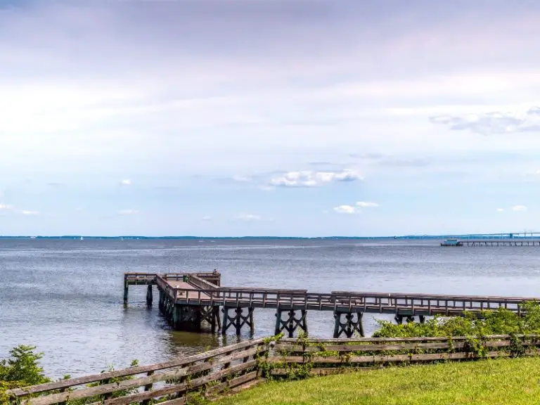 How Many Fishing Rods Per Person In Maryland AquariumPub