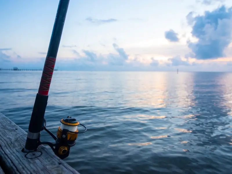 Fishing Rods Regulations in Alabama