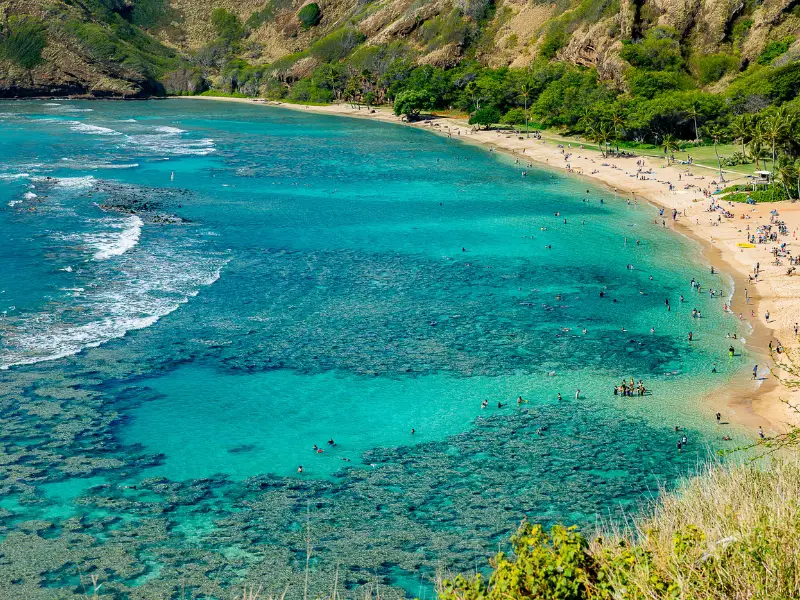 Fishing Rods Regulations in Hawaii