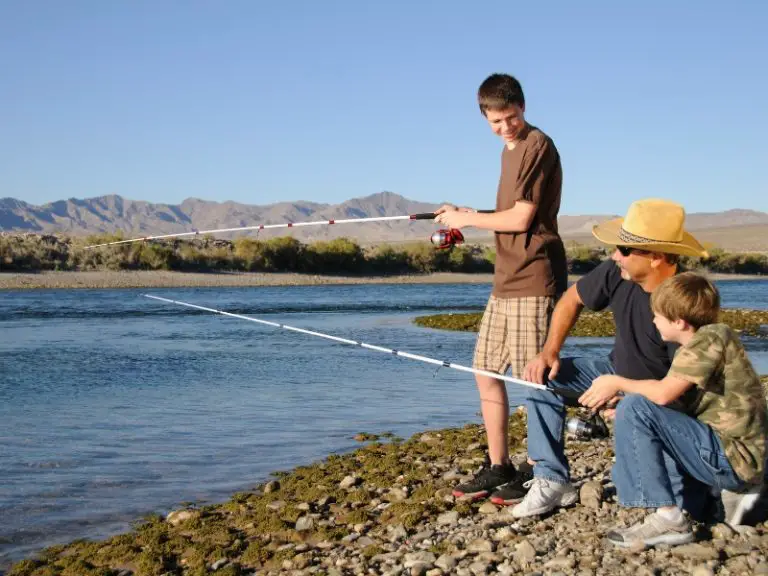 Fishing Rods per Person in Arizona