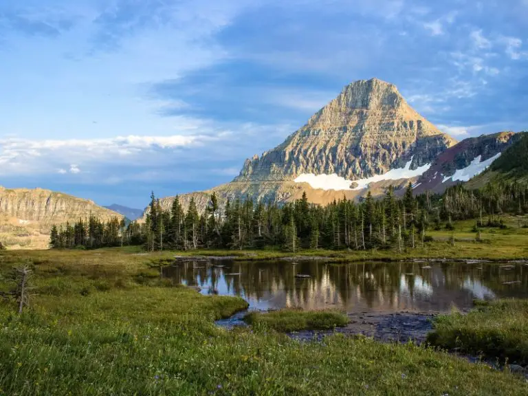 Fishing Rods per Person in Montana