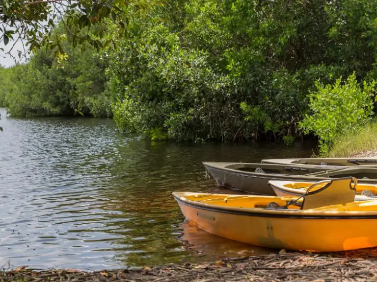 Pay To Fish Ponds In Florida Where To Find Them And How Much They Cost