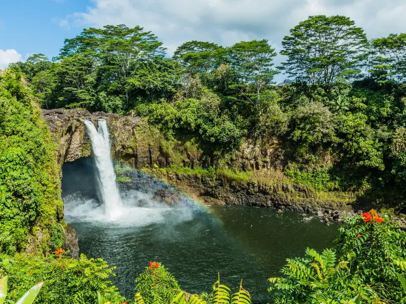 Best-Rated Fish Ponds in Hawaii
