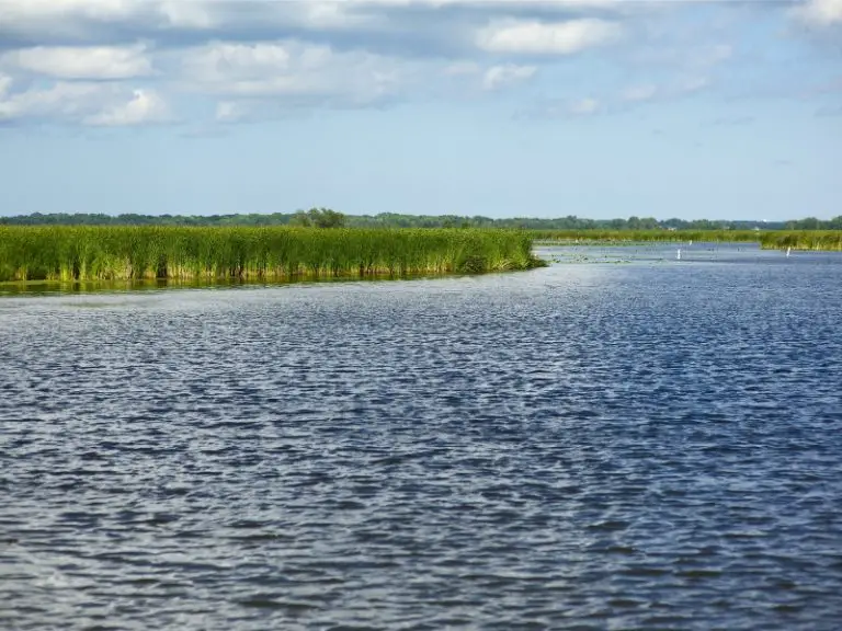 Pay To Fish Ponds In Illinois Where To Find Them And How Much They