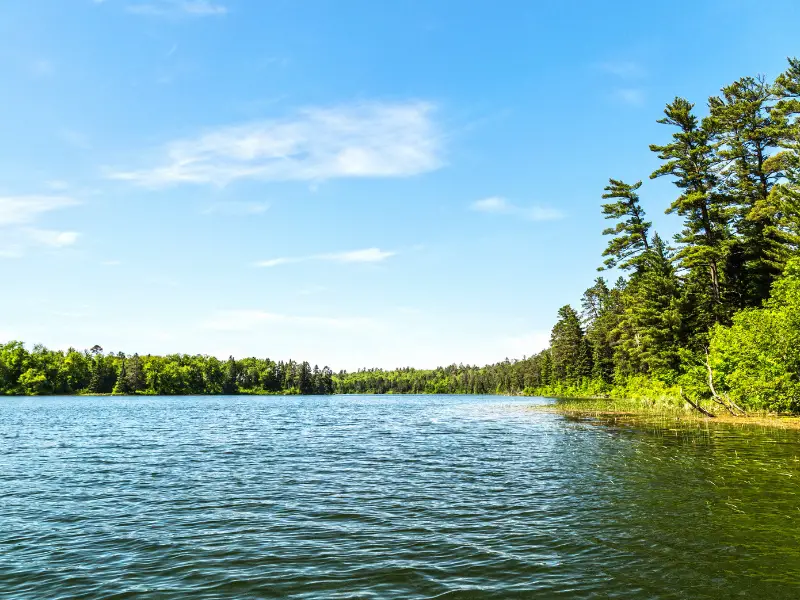 Best-Rated Fish Ponds in Minnesota