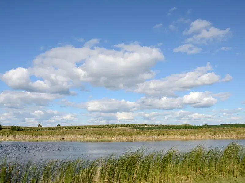 Best-Rated Fish Ponds in South Dakota