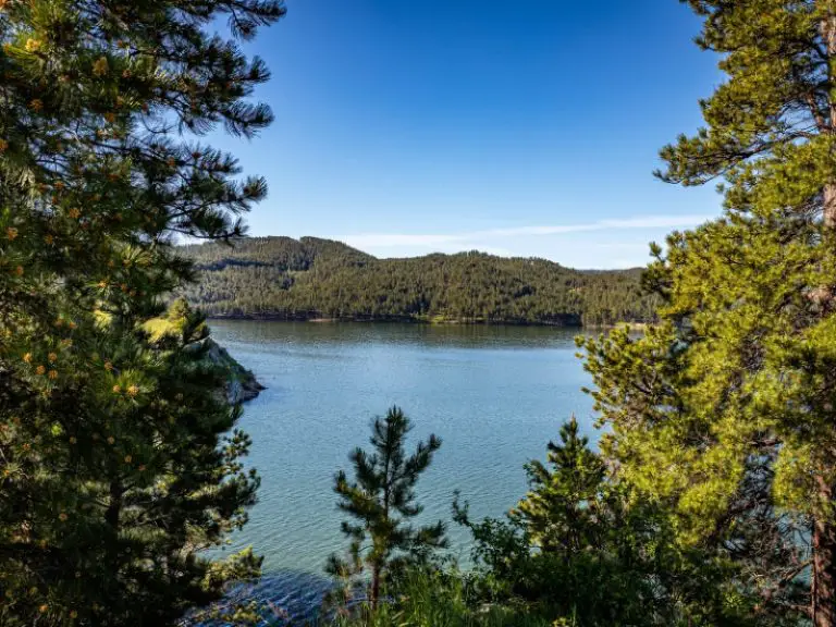 How Many Fishing Rods Per Person In South Dakota AquariumPub