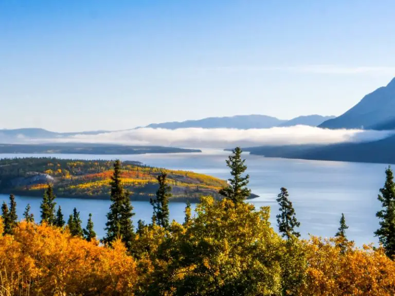 Pay To Fish Ponds In Yukon A Comprehensive Guide To The Best Locations