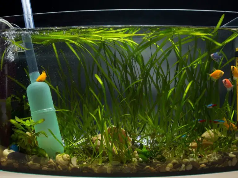 How To Soften Aquarium Water Simple And Effective Methods AquariumPub