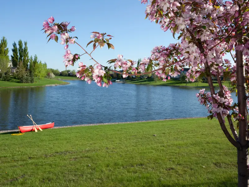 Pay To Fish Ponds In Manitoba Where To Find Them And What You Need To